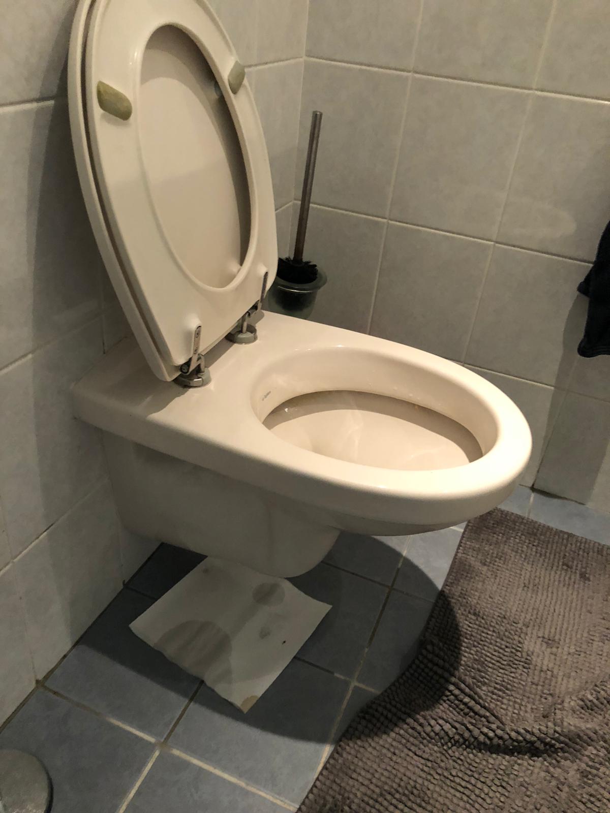 hangtoilet Doesburg